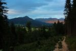 2014-07-05_Laengental-N-Hochweg (1002). JPG
